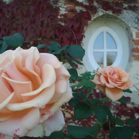 Chateau De Villiers Bed & Breakfast *